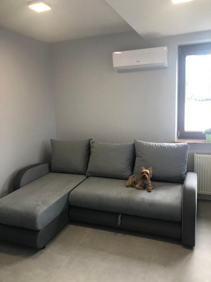 Klimatyzowane Apartamenty I Pokoje Przy Targach Kielce Extérieur photo